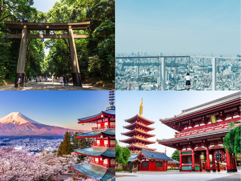 貸切観光ハイヤーで自由な旅を